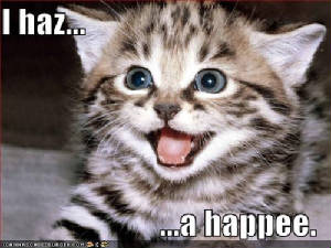 kitten-has-a-happy.jpg